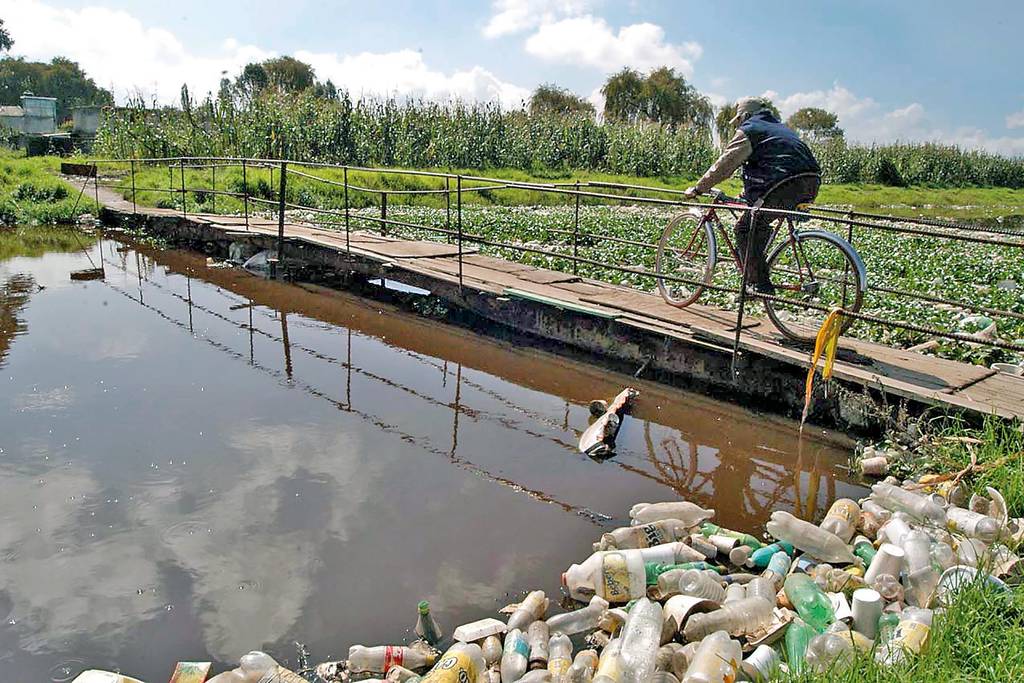 Enfermedad. El consumo de arsénico a través del agua se asocia como un generador de cáncer en la población de Chapala, Jalisco.