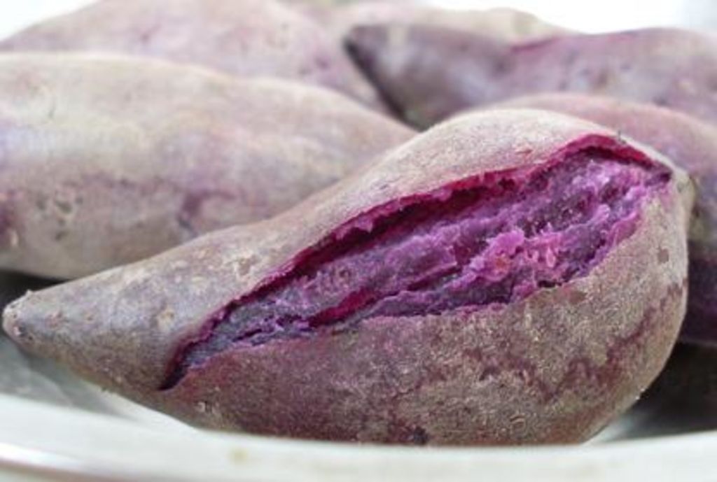 El camote morado es el séptimo cultivo alimentario de mayor importancia en el mundo, debido a sus propiedades para mantener una buena salud. (INTERNET)