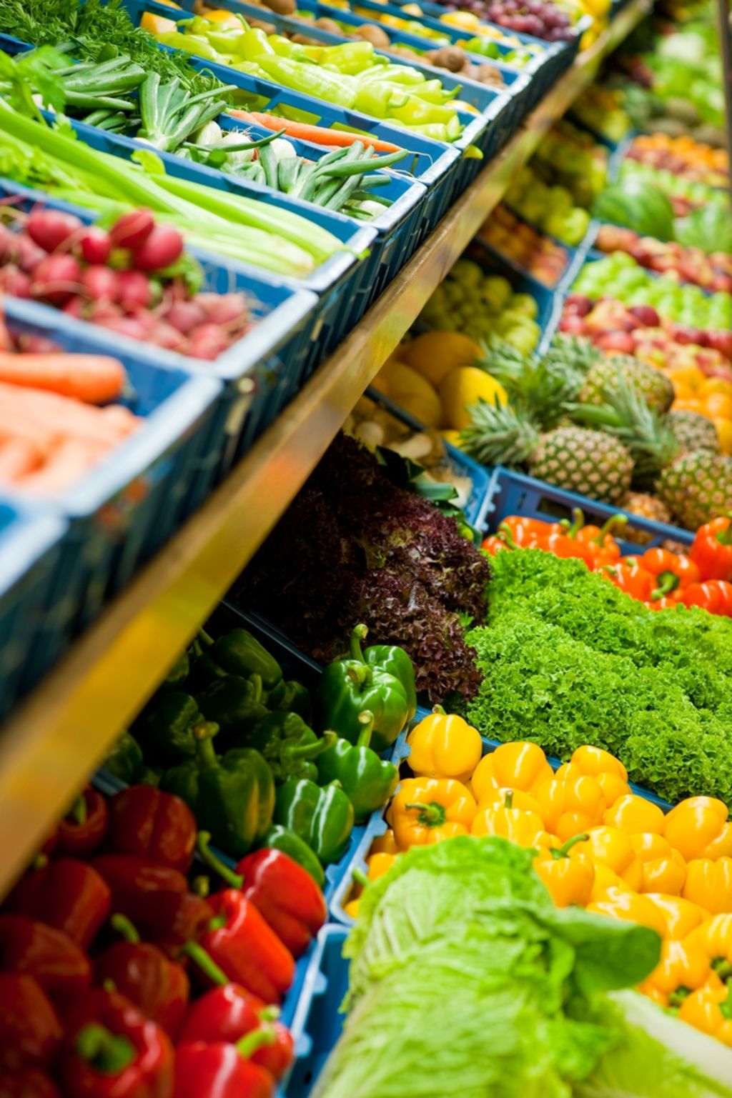 La ingesta de frutas y verduras de forma suficiente es una opción que puede salvar 1.7 millones de vidas al año. (ARCHIVO)