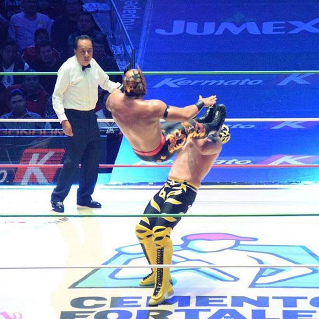 Los jóvenes Esfinge y Puma definieron la noche del martes en la Arena México al vencedor del certamen. (ARCHIVO)