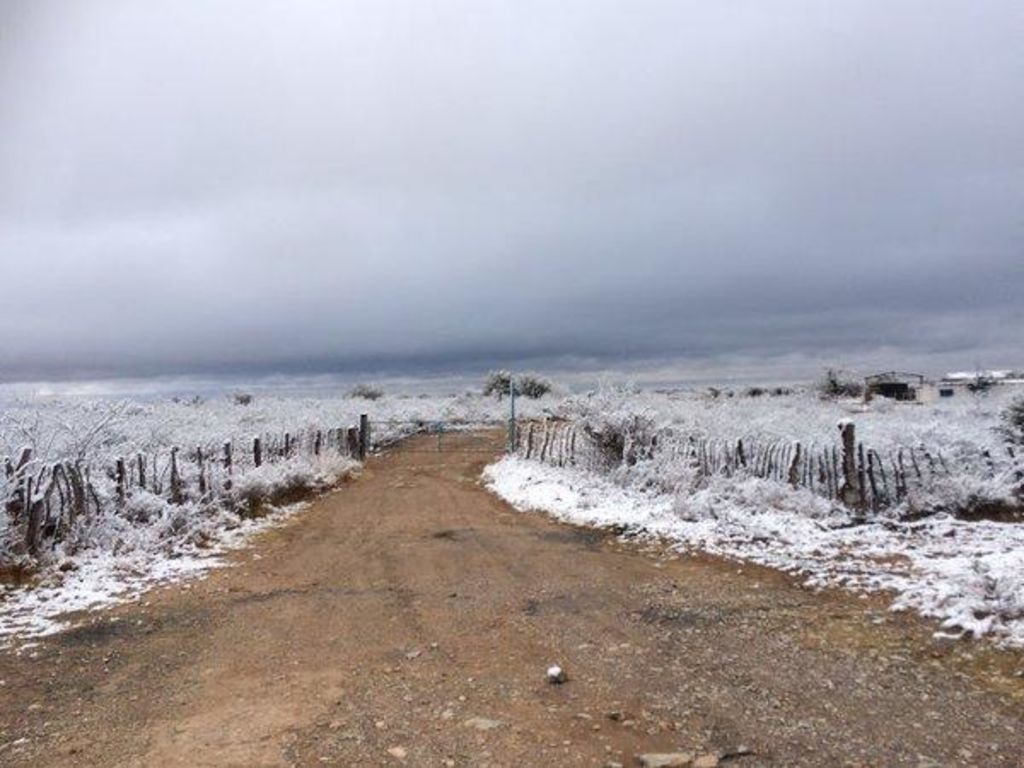 Las nevadas pronosticadas para Durango como consecuencia de la octava tormenta invernal, alcanzaron a un total de 14 municipios. (ESPECIAL)