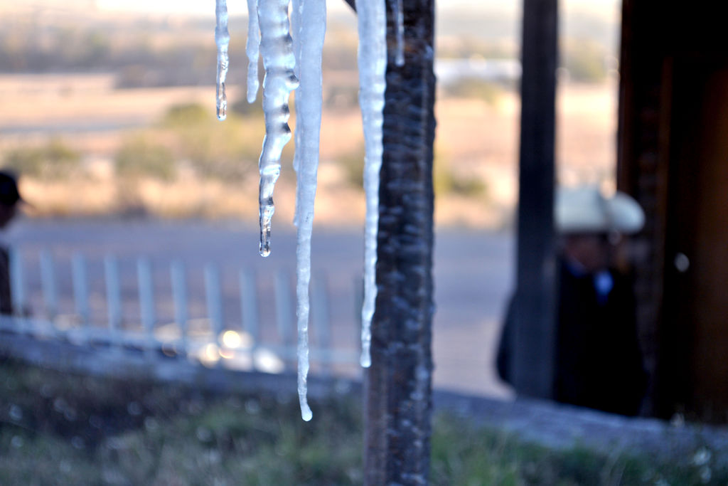 La presencia de una segunda “helada negra” dependerá del desenvolvimiento que el sistema frontal presente entre lunes y martes, en la frontera de los estados de Sonora, Chihuahua y Coahuila. (EL SIGLO DE TORREÓN)