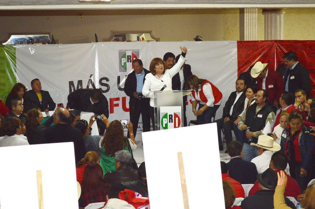 González Achem solicitó licencia el mes pasado para separarse del cargo como diputada local del Distrito IX que abarca Lerdo y el Municipio de Mapimí. (EL SIGLO DE TORREÓN)