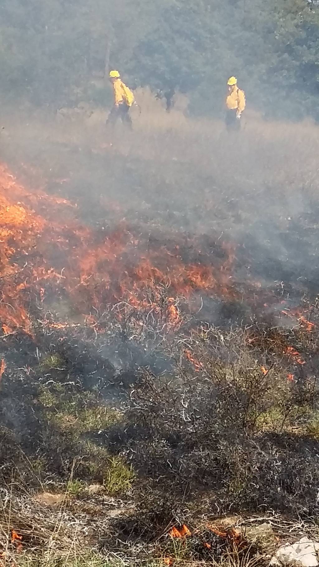 Cifras. Siguen siendo pocos los incendios registrados y mucho menor el número de hectáreas dañadas.