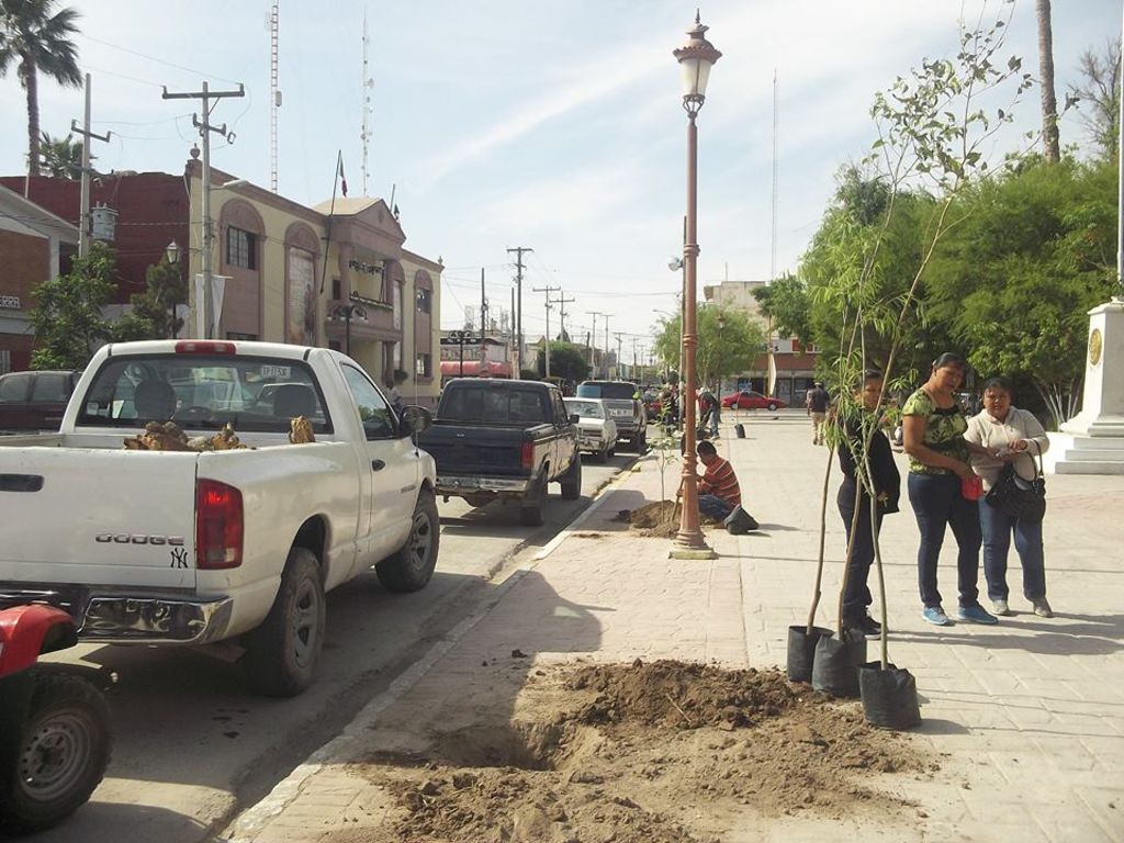 Hilda Castro Durán dijo que preparan la campaña de reforestación proyecta la plantación de 12 mil árboles, el doble que el año anterior.