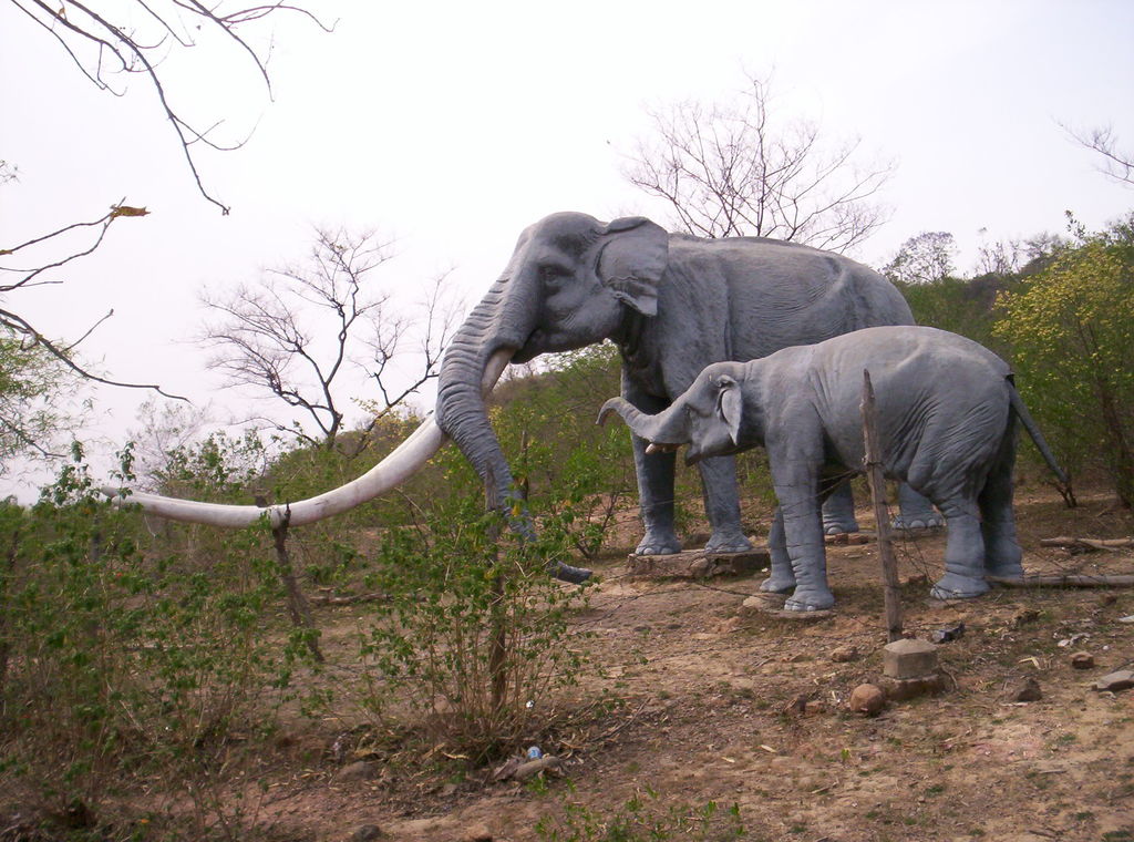 El stegodon es una especia de mastodonte extinguido, originario de Asia y pariente lejano del elefante actual, que vivió hace 11 millones de años. (INTERNET)