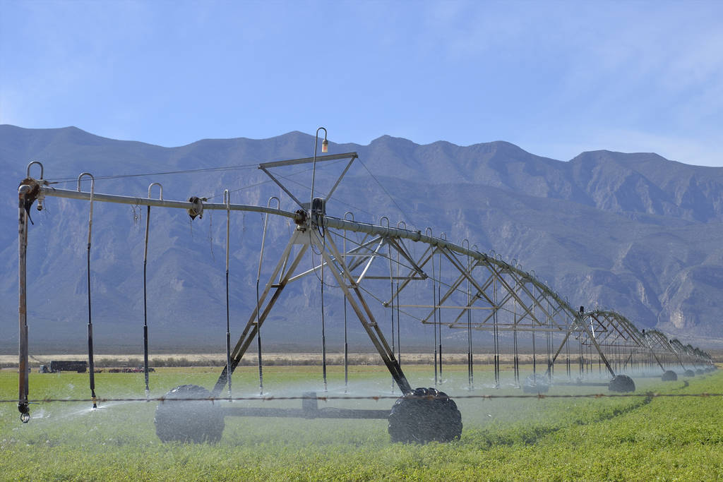 Riego. Ofrecen tecnificar para aprovechar agua en el campo, de ser donado el 10 por ciento del agua. (ARCHIVO)