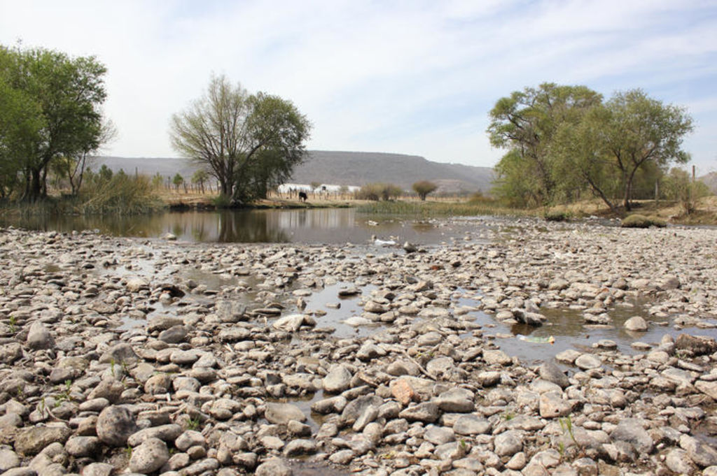 Agua Futura Cuesta 50 Mdp Jorge Herrera El Siglo De Torre n