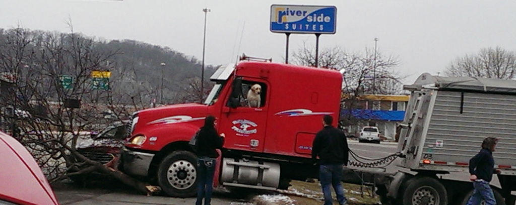 Un perro choca camión enMinnesota
