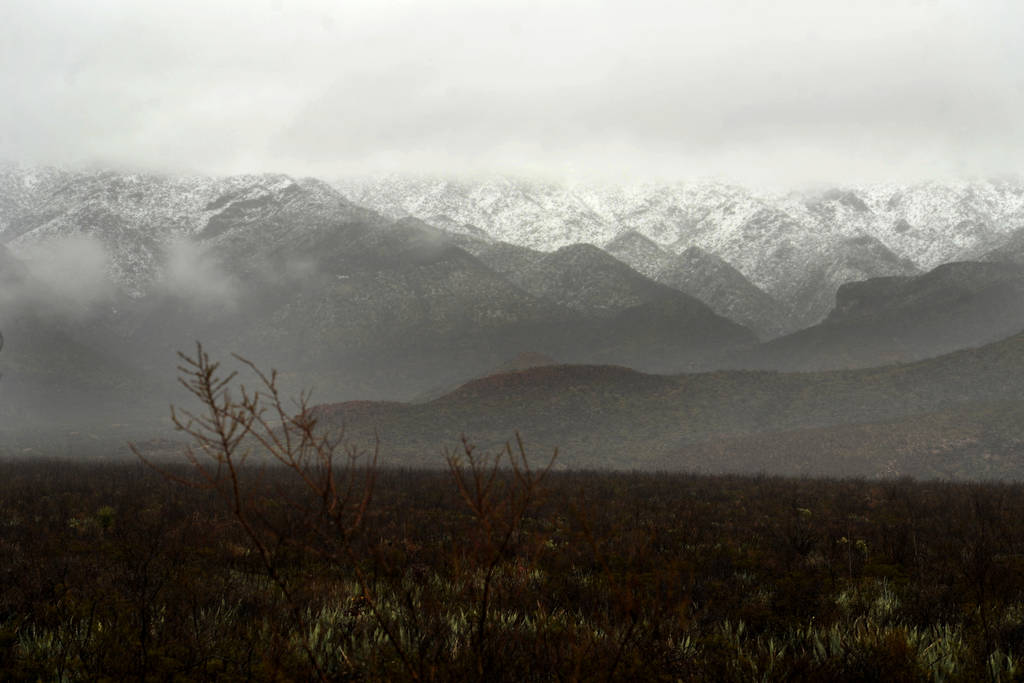 Nevada. Se registró la primer nevada en la región Lagunera a las afueras de Cuencamé y en algunas comunidades de Mapimí. 