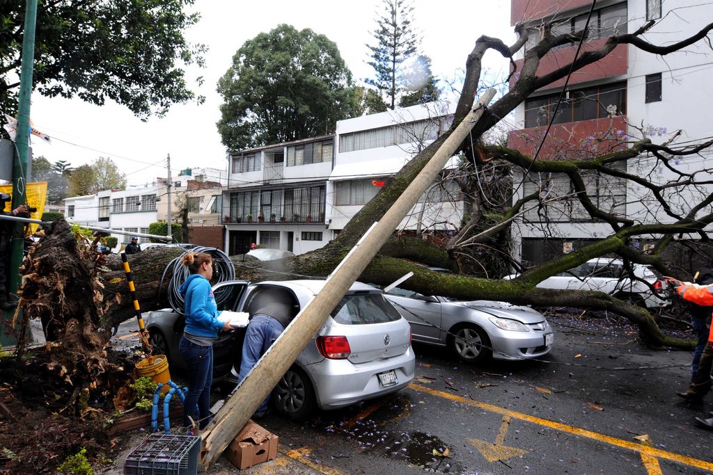 El funcionario contabilizó 27 estados afectados, con dos mil 620 casas dañadas y mil 871 árboles caídos. (ARCHIVO)