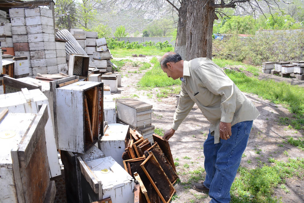 Crisis. Hay hileras de colmenas vacías en los apiarios ante la desaparición de las abejas. (JORGE TÉLLEZ)