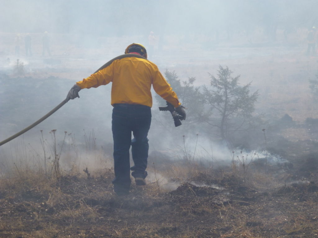 Hasta este momento, son más de 300 las hectáreas que presentan afectación por incendios, en el primer lugar se ubica el municipio seguido de San Dimas. (Conafor)