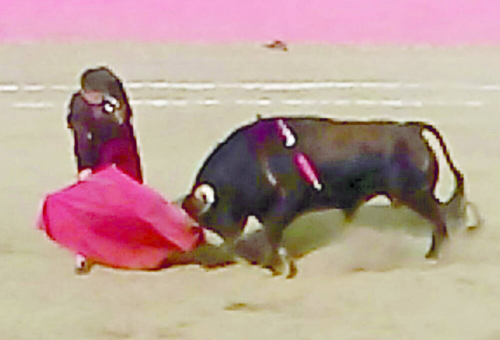 Una faena de calidad logró el novillero lagunero Jesús Sotomayor en la plaza de toros de San Gabriel, Hidalgo, para cortar una oreja. (Especial)