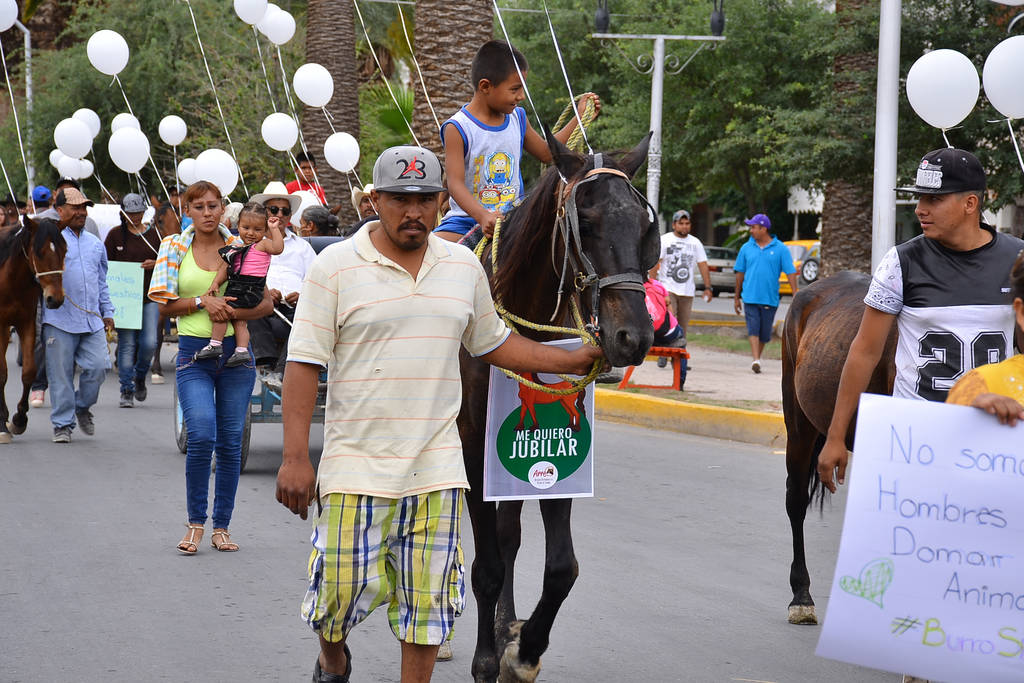Proyecto. Con todo y caballo participaron en la caminata  '¡Burro sin mecate!, sustitución de tracción animal por motora'. (Fernando Compeán)