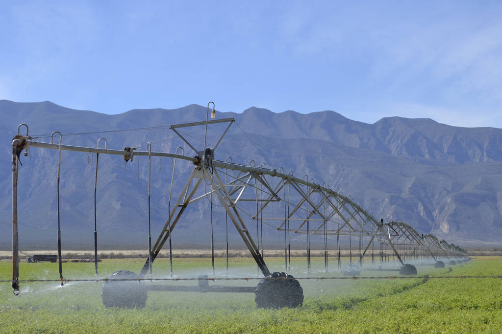 Tecnificación. Continúan las obras en Rodeo para optimizar el agua que se emplea en el riego de los cultivos del campo. (ARCHIVO)