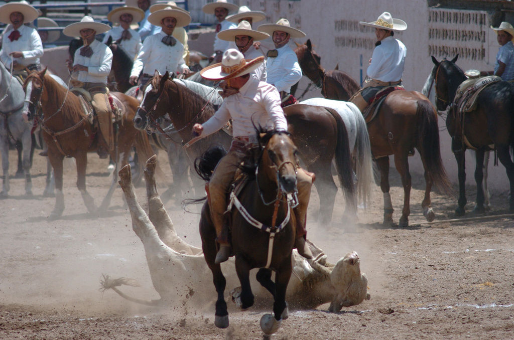 Las escuadras que tomarán parte en esta charreada amistosa serán Alacranes de Durango, quienes están de visita desde la Perla del Guadiana, además de los locales Charros de La Laguna Oro y Charros de Gómez Palacio. (ARCHIVO)