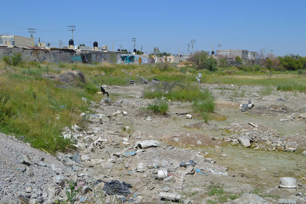 Piden solución. Un terreno húmedo y lleno de suciedad ha generado problemas en viviendas de Campo Nuevo Zaragoza. (ROBERTO ITURRIAGA)