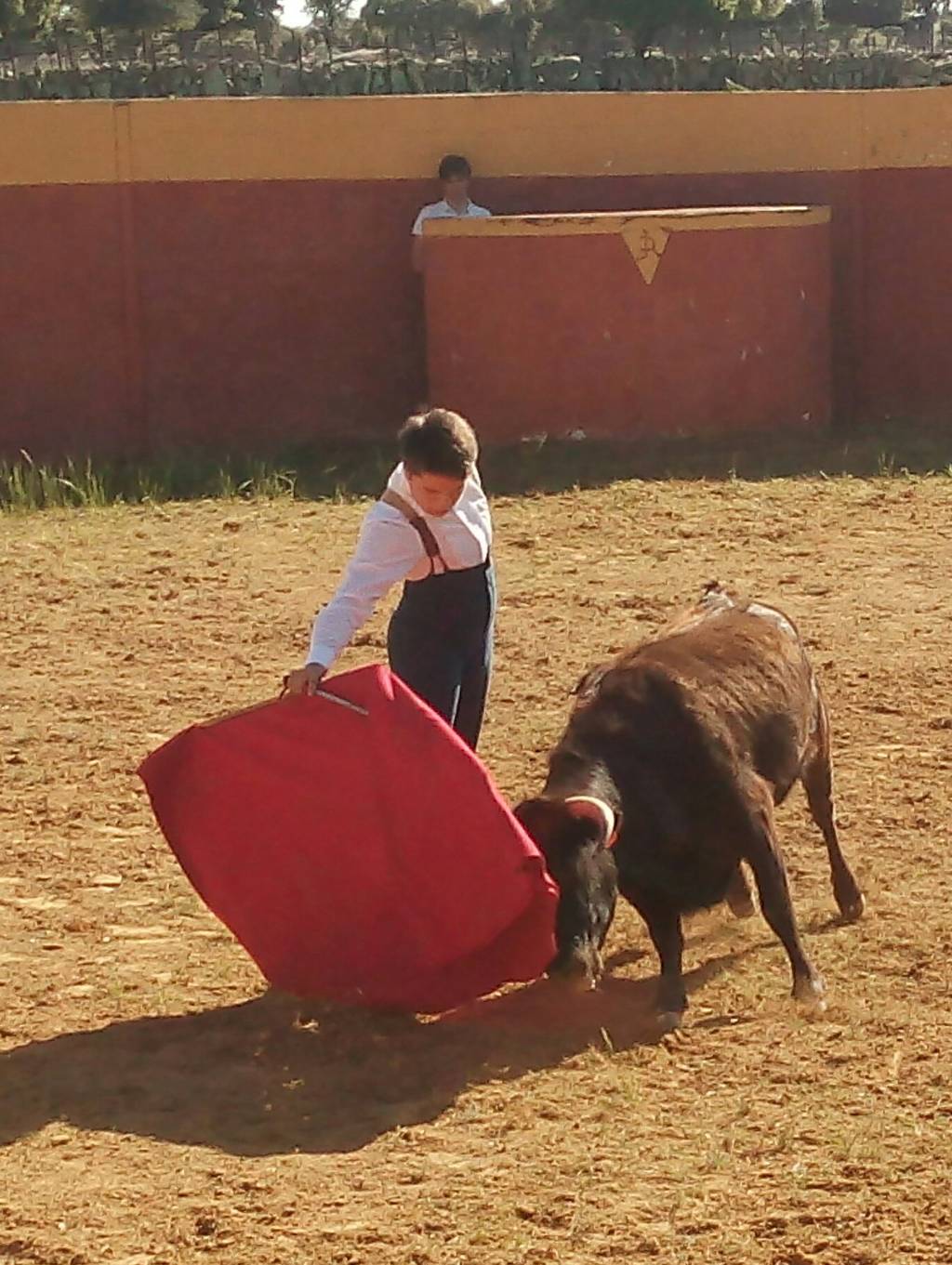 El joven espada lagunero recibió la oportunidad de torear en la ganadería de Valderrubio a dos vacas del encaste de Domecq.