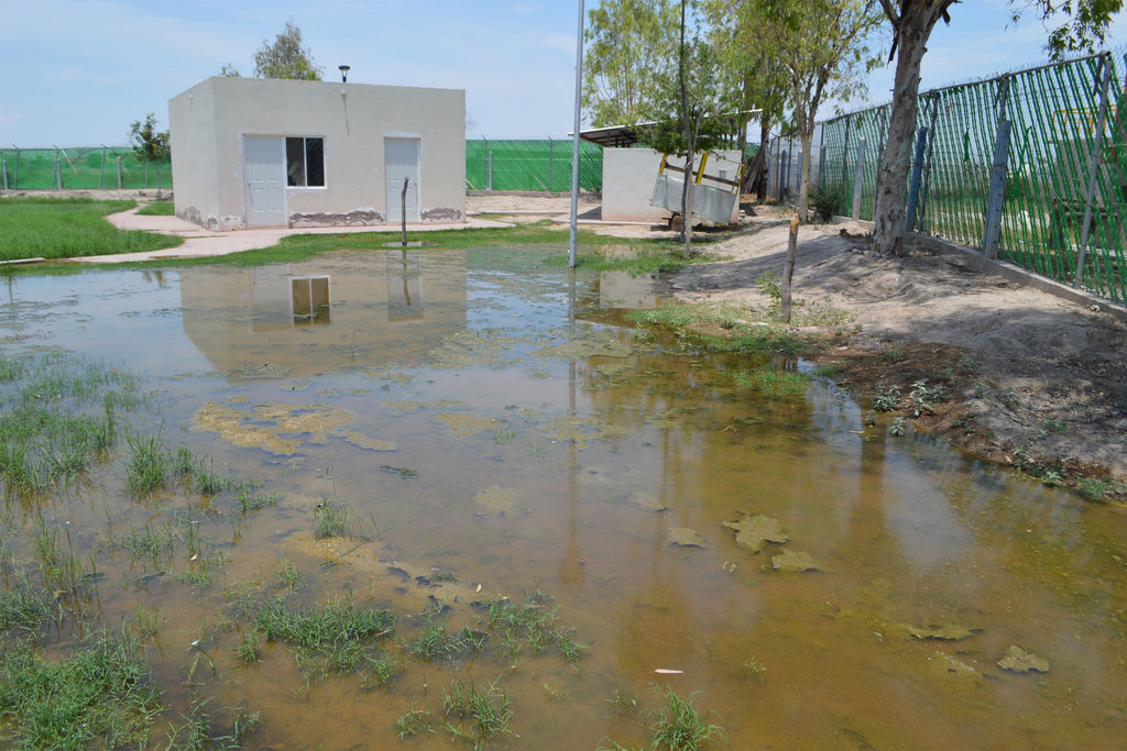 Suciedad. Otra vez las aguas negras han inundado la zona de equinoterapia del Bosque Urbano en Torreón. (ROBERTO ITURRIAGA)