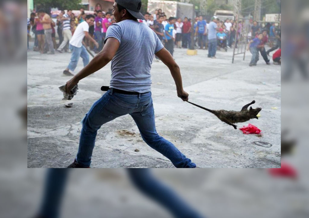 La imagen se viralizó como parte de los enfrentamientos ocurridos el domingo pasado en Oaxaca. (INSTAGRAM)