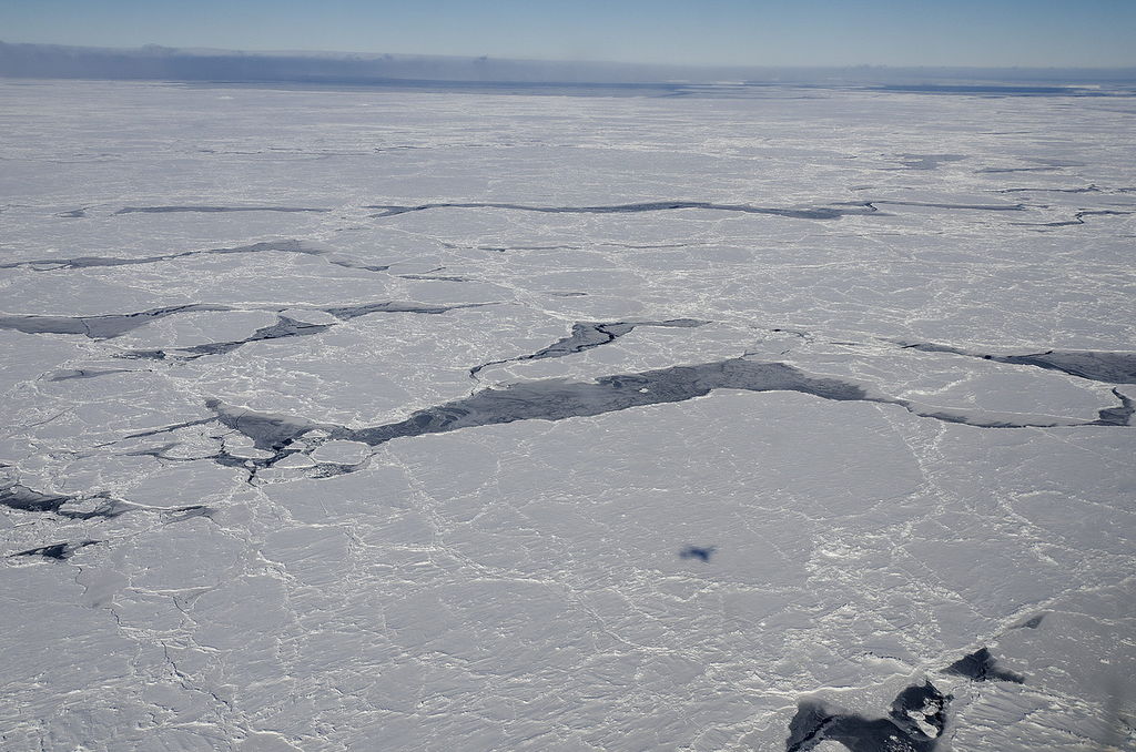 Las algas rojizas Chlamydomonas nivalis situadas en el Ártico tienen una influencia directa sobre el deshielo de los glaciares. (ARCHIVO)