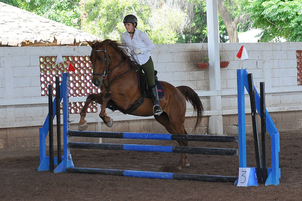 Todas las pruebas serán premiadas con moñas, una por cada cuatro participantes en cada prueba. (Archivo)