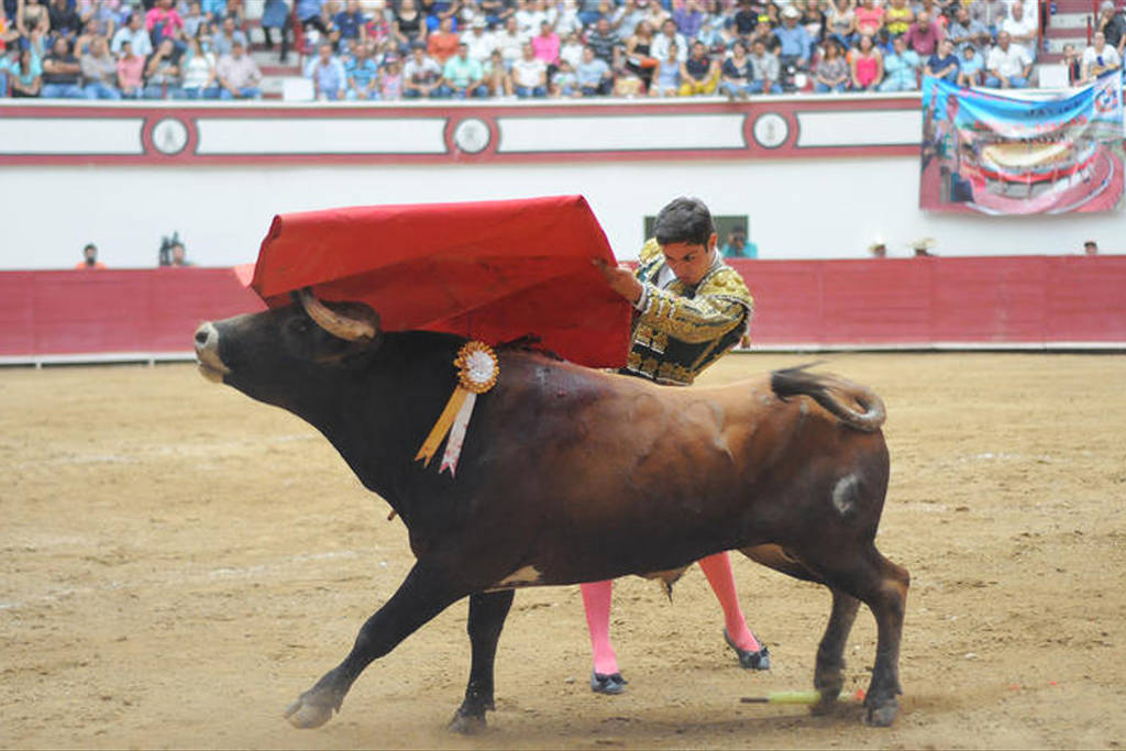 Estadística. El 70 por ciento  de los mexicanos está en contra de las corridas de toros, de acuerdo a la encuestadora Parametría.