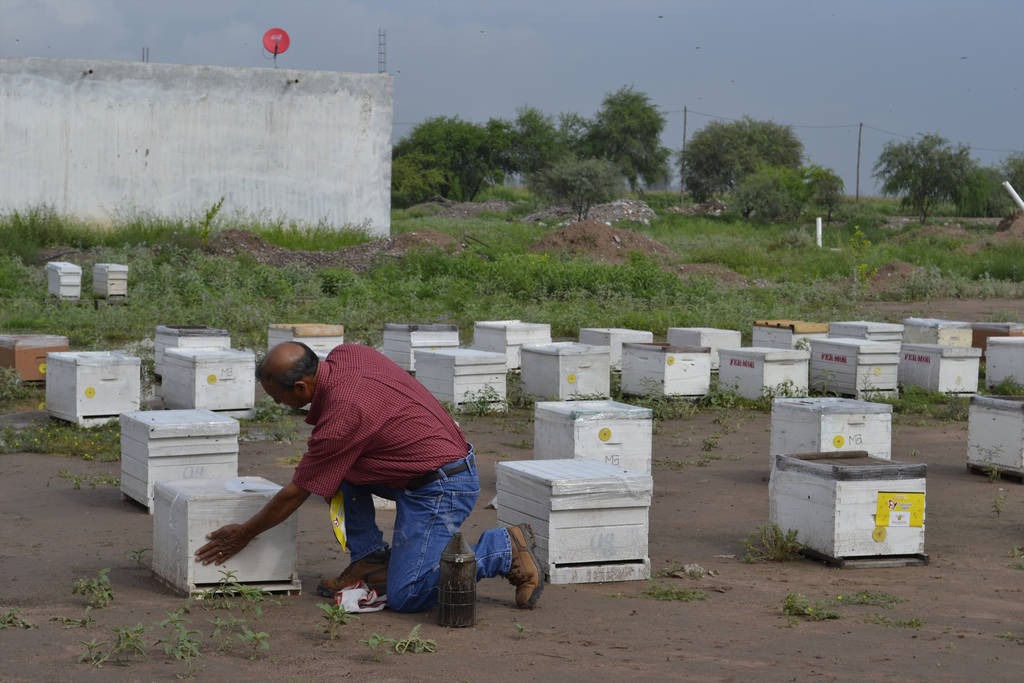Donativo. Logran reunir recursos para adquirir 100 colmenas en el estado de Zacatecas que ya fueron entregadas en La Laguna. (CLAUDIA LANDEROS) 