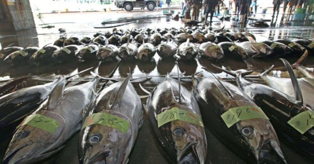 La banda había introducido de contrabando los pasados dos años 5,000 toneladas de mariscos como cangrejos o gambas, valorados en 230 millones de yuanes. (TWITTER)