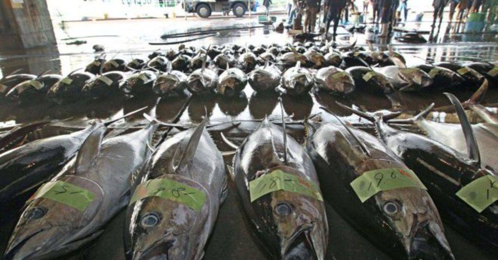 Vendieron  34.5 millones de dólares en mariscos.