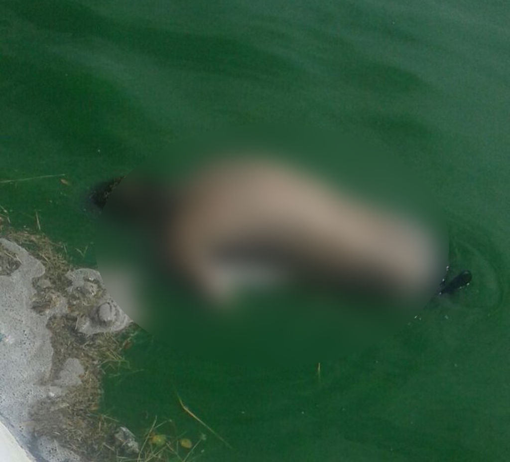 El representante social encontró en el lago el cadáver de un hombre de unos 25 años de edad, sin huellas de violencia a simple vista. (EL SIGLO DE TORREÓN)