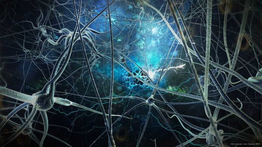 Davachi detalla que desde hace tiempo la comunidad científica sabe que las neuronas aumentan su actividad cuando se graban recuerdos. (ESPECIAL)