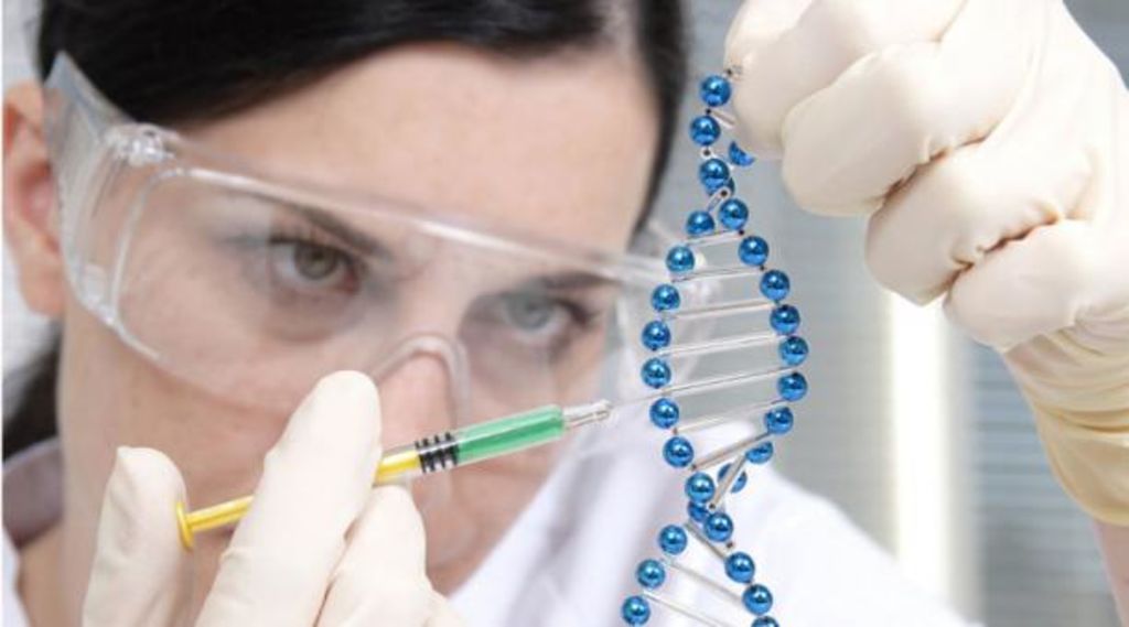 La inmunoterapia inactiva el proceso de defensa de las células cancerosas frente al sistema inmunológico. (ARCHIVO)