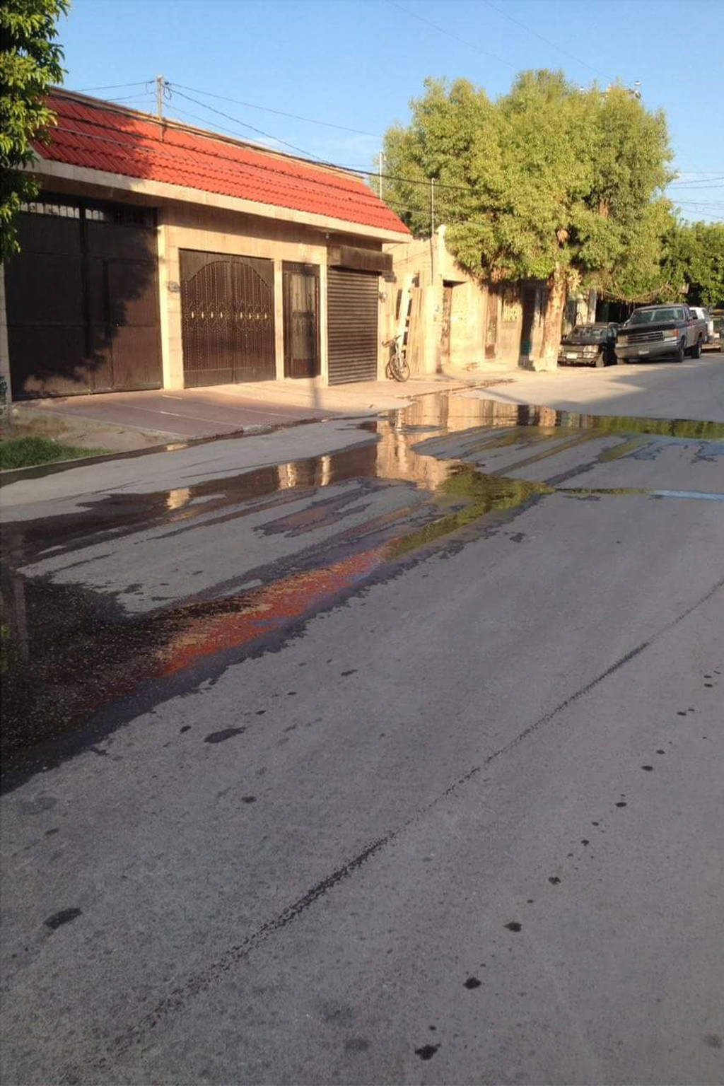 Desperdicio. Hay personas que tienen el mal hábito de lavar sus banquetas, o bien, ignorar cuando hay una fuga de agua.