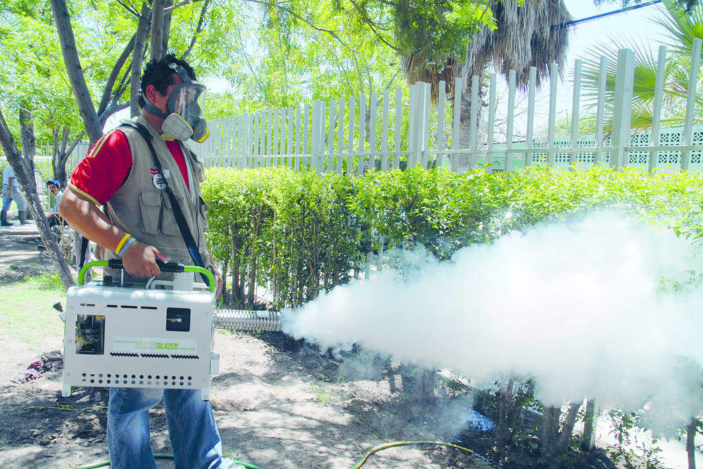 Acciones. Seguirán en alerta y reforzando las diferentes medidas para evitar más casos de dengue en la región Lagunera de Durango. (ARCHIVO)