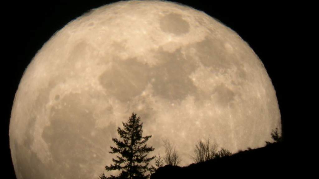 El término superluna fue acuñado por el astrólogo Richard Nolle en 1979. (ESPECIAL)