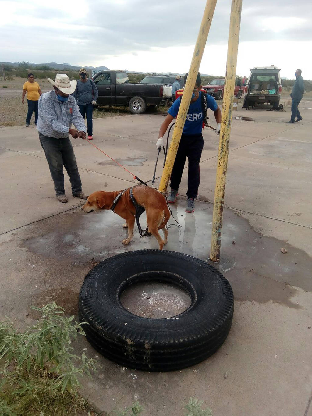 Acciones. Salud Municipal, inicia campaña en ejido de Mapimí, para evitar que los perros atraigan garrapatas.