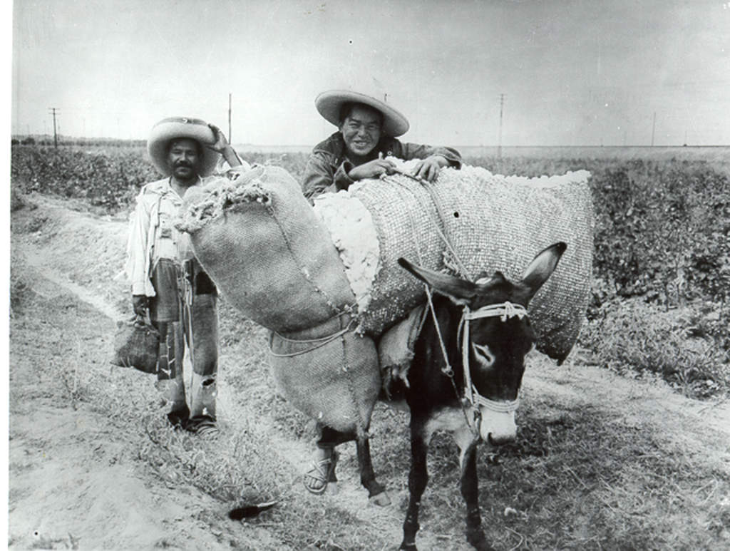 El reparto agrario de 1936 en La Laguna