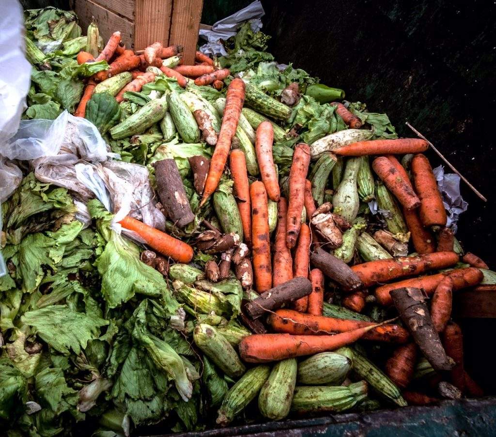 Peligro. Se pierde en el país el 37 % de los alimentos. (ARCHIVO) 