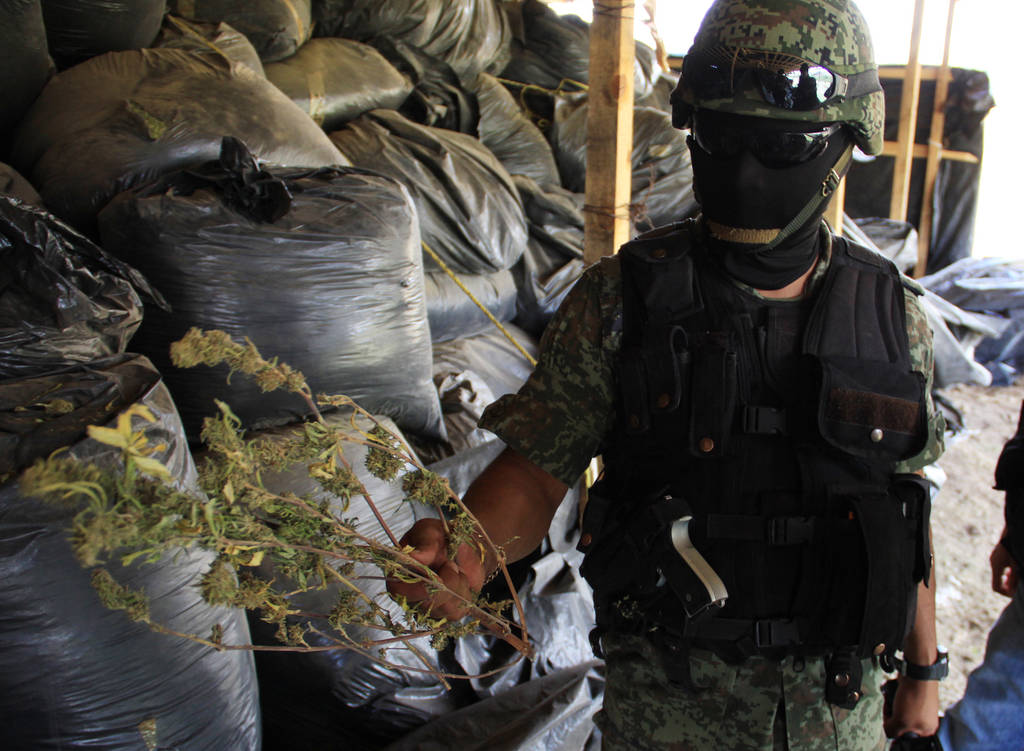 Datos. Los soldados encontraron el doble de sembradíos de amapola, en relación con los plantíos de marihuana, en zona serrana.