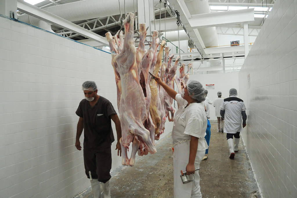 En lo que va del año, se han incautado 23 toneladas de carne y vísceras, de las las cuales 16 toneladas han sido  destruidas. (ARCHIVO)