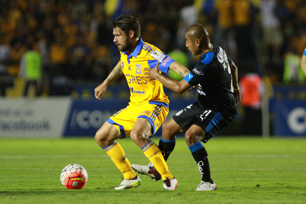 Tigres recibe a Querétaro en la última fecha del torneo. (Archivo)