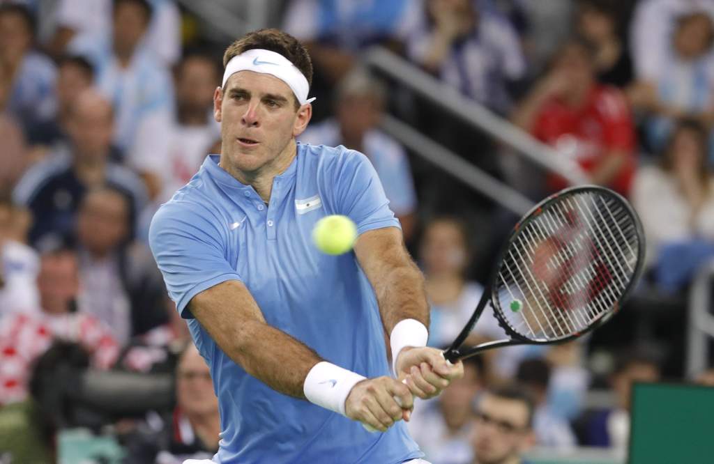 Juan Martín del Potro logró igualar la serie luego de vencer a Ivo Karlovic. (EFE)