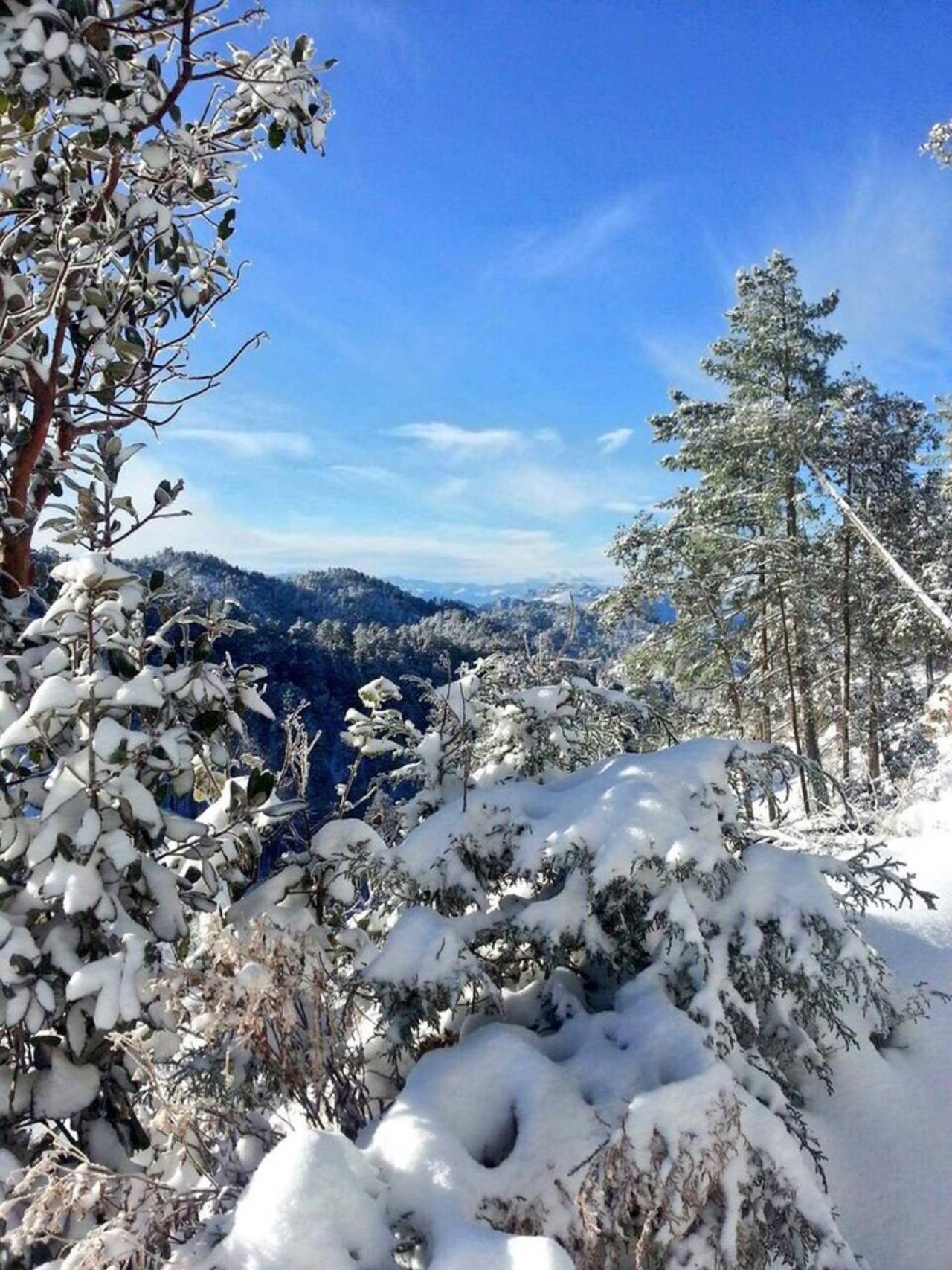 Nieve y frío. No se registran muertes por frío ni incidentes que ameriten una declaratoria de emergencia. 