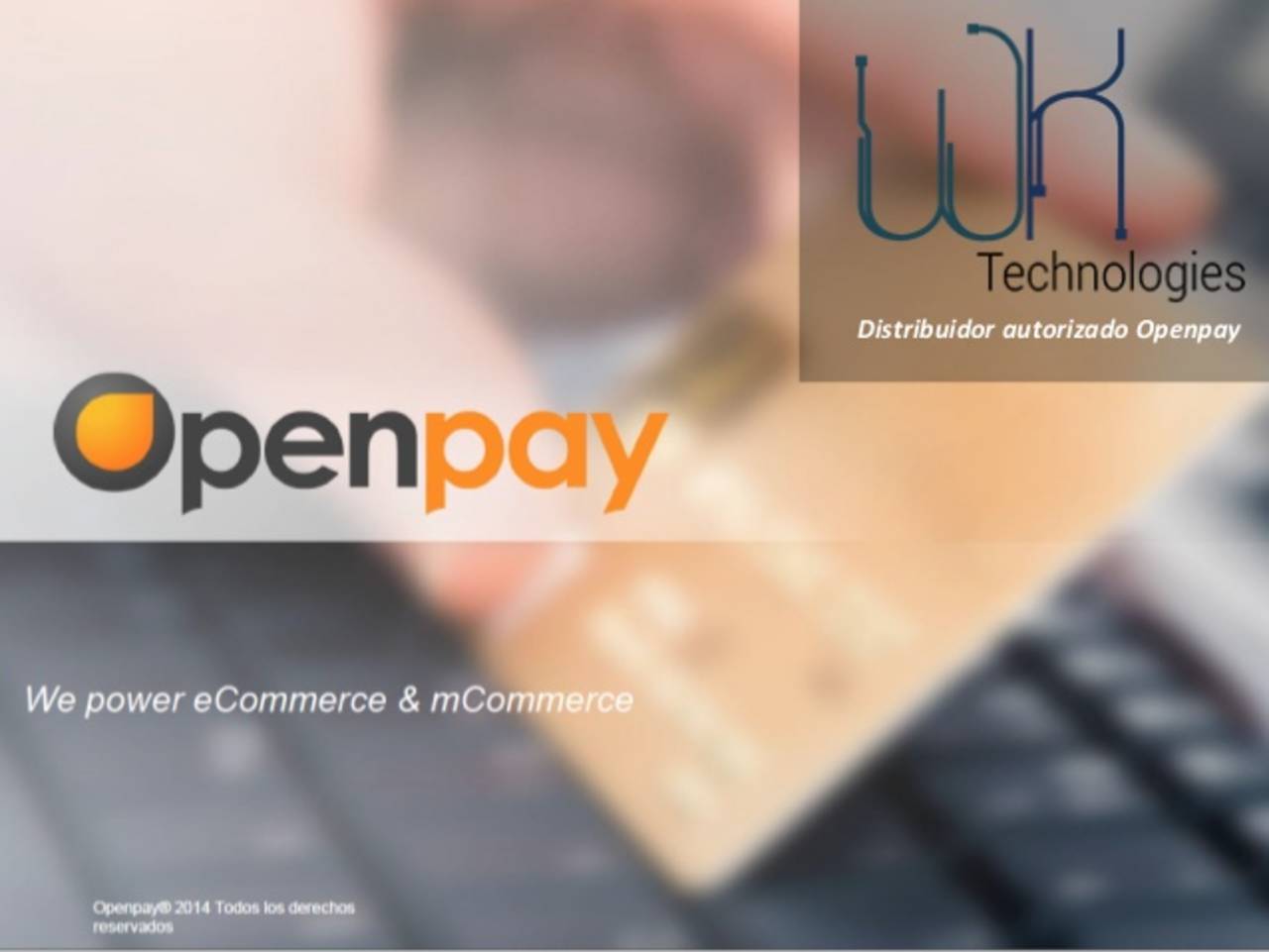 Estrategia. La firma Openpay es un sistema de pagos en línea para grandes empresas y Pymes. 