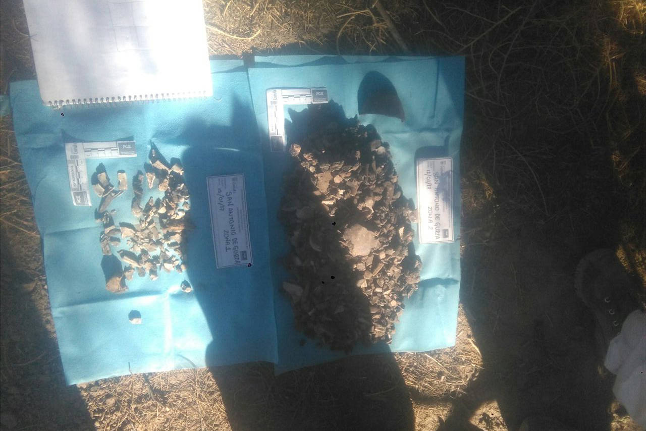 Hallazgos. Son miles de fragmentos óseos los que se han encontrado en los diferentes campos recorridos en la región Lagunera. (ARCHIVO)