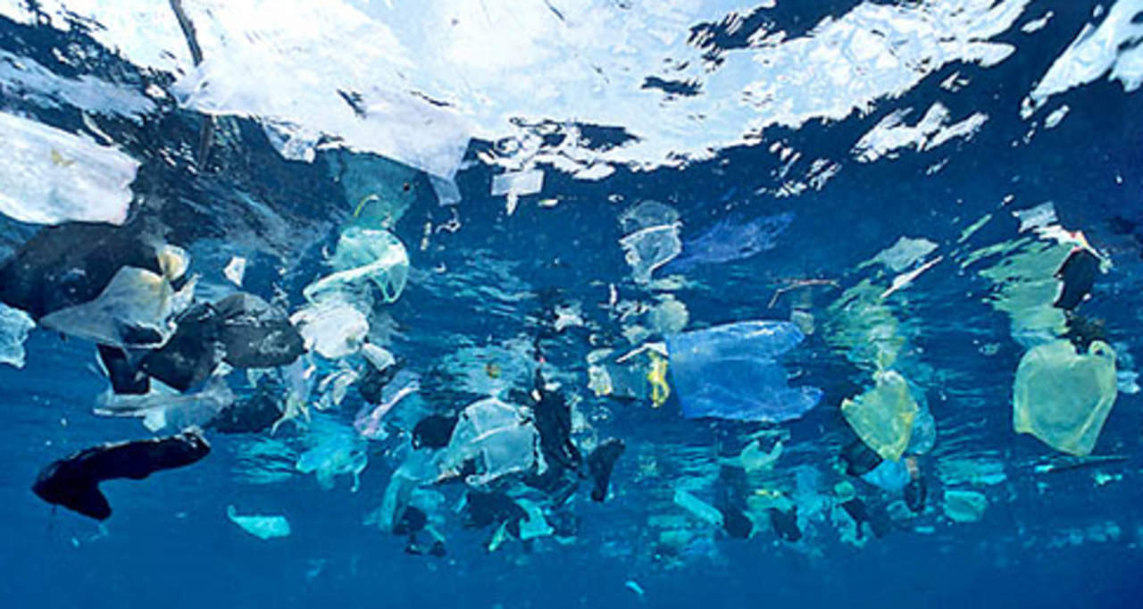 Cerca del 90 por ciento de toda la basura que flota en los océanos es plástico, por lo que la organización pidió a la industria que minimice los envases elaborados con este material. (ESPECIAL)