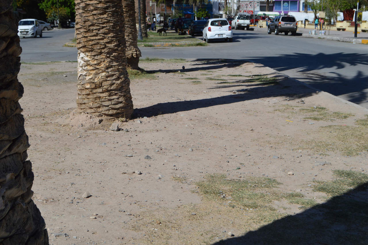 Pulmón. En tamaño, se supone que es la segunda área verde de la ciudad de Torreón.