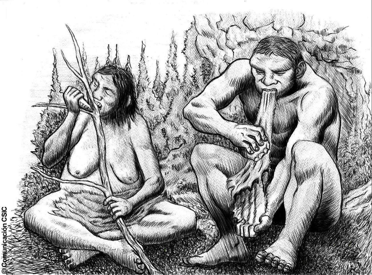 La investigación también reveló que neandertales y humanos modernos y antiguos compartían dolencias causadas por los microbios, entre ellos la caries dentales y las enfermedades en las encías. (ARCHIVO)